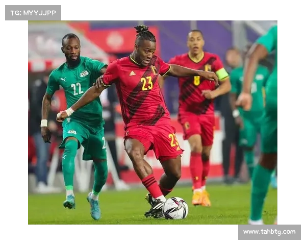 从多语环境看巴舒亚伊的语言背景与比利时多元文化影响